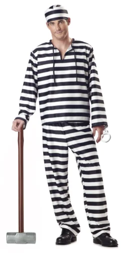 Jailbird Costume