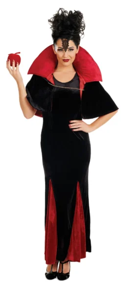 Queen Of Evil Ladies Costume