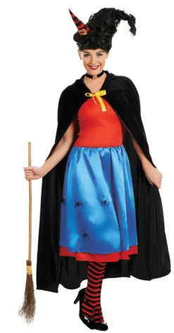 Good Witch Ladies Costume