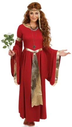 Renaissance Ladies Costume