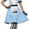 Deluxe Dark Tea Party Alice Ladies Costume