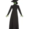 Wicked Witch Ladies Fancy Dress Costume