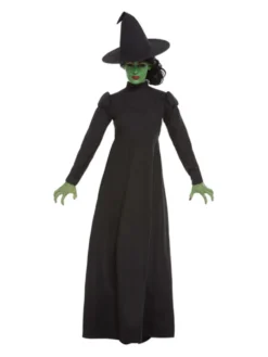 Wicked Witch Ladies Fancy Dress Costume