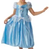 Fairytale Cinderella Girls Costume