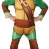 TMNT Half Shell Hero Boys Costume