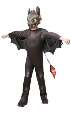 Toothless Boys Costume