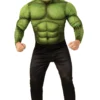 Hulk Mens Costume