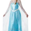 Elsa Adults Costume