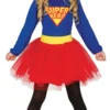 Superhero Girls Costume
