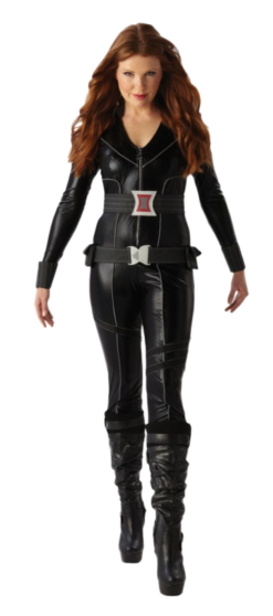 Black Widow Costume