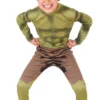Boys Classic Hulk Superhero Costume