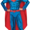 Deluxe Superman Fancy Dress
