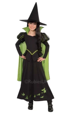 Wicked Witch Of The West Fancy Dress