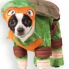 Michealangelo TMNT Pet Dog Costume