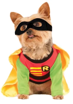 Robin Dog Costume