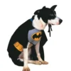 Batman Pet Costume