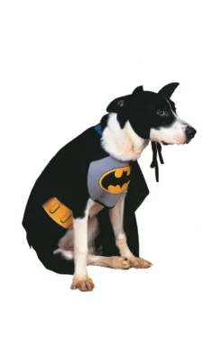 Batman Pet Costume