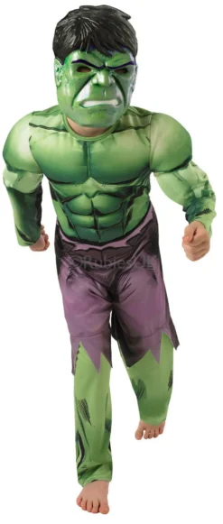 Boys Hulk Deluxe Costume
