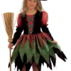 Fairy Witch Costume