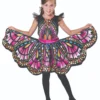 Butterfly Girls Costume