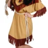Native Indian Fancy Dress