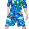 Hawaiian Blue Palm Costume