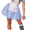 Alice In Zombieland Halloween Costume