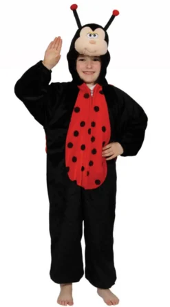 Kids Ladybug Fancy Dress