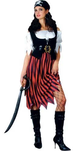 Pirate Lady Costume