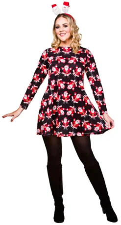 Ladies Father Christmas Dress