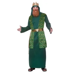Mens Green Wise Man Costume