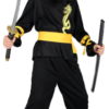 Boys Dragon Ninja Costume