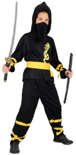 Boys Dragon Ninja Costume