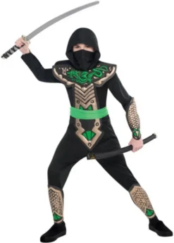 Dragon Ninja Costume