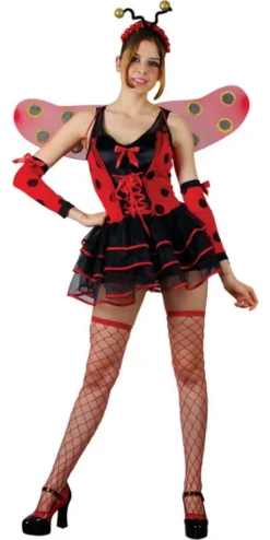 Lovely Ladybug Costume