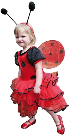 Ladybird Girls Costume