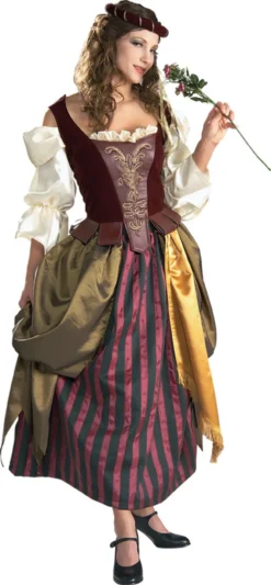 Renaissance Maiden Costume