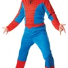 The Amazing Spider-Man Costume