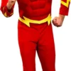 The Flash Fancy Dress
