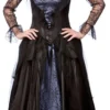 Wicked Queen Costume